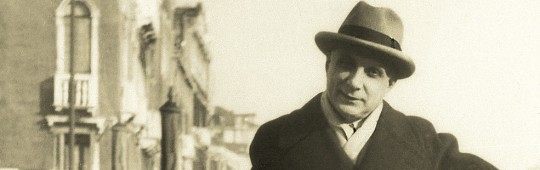 Duiliu Marcu, JURNAL -II-